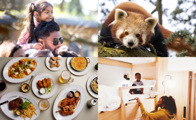 family at Bristol Zoo Project, Nilo the Red Panda, Mollie's Diner Bristol selection of dishes on the menu, family in a bunk room at Mollie's Bristol